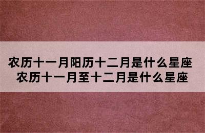 农历十一月阳历十二月是什么星座 农历十一月至十二月是什么星座